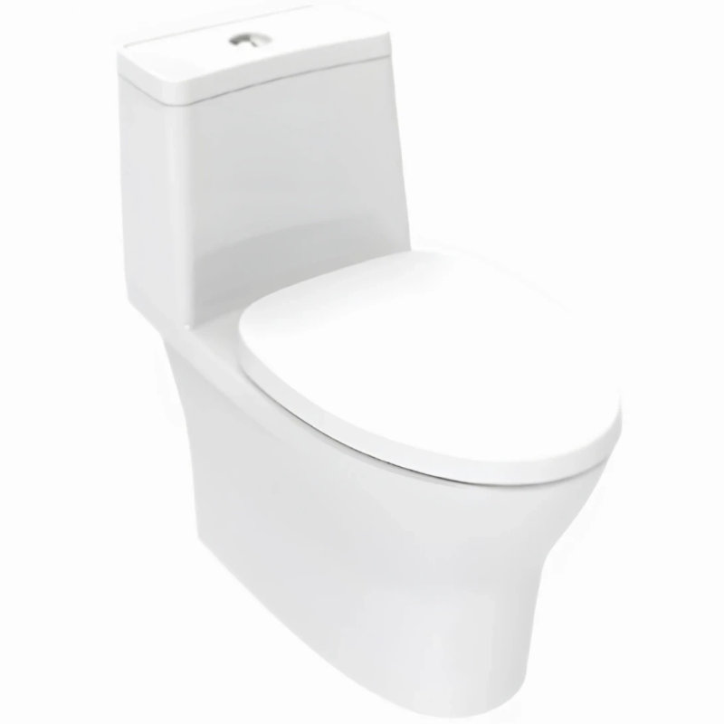 Bồn cầu American Standard bồn cầu một khối màu trắng tinh tế trên nền trắng.
