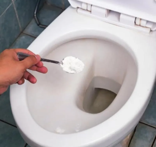 Sử dụng các chế phẩm vi sinh để phân hủy chất thải