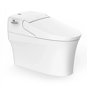 Bồn cầu thông minh American Standard WP_5017