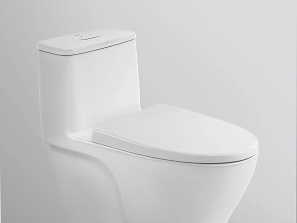 Các mẹo giúp hạn chế tắc bồn cầu