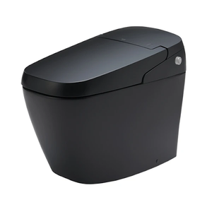 Bồn cầu thông minh INAX AC_G216VN_BKG