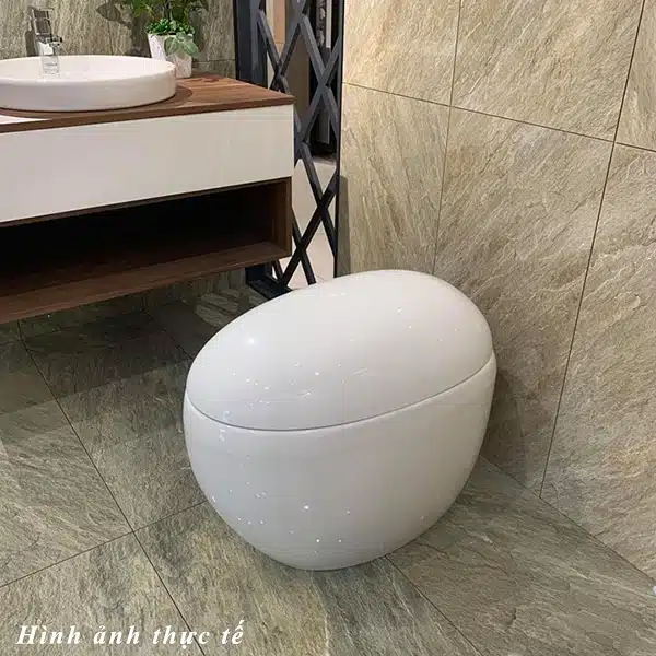 Kích thước bàn cầu trứng cũng vô cùng đa dạng 