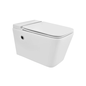 Bồn cầu treo Jaquar ARS_WHT_39961UFSMV