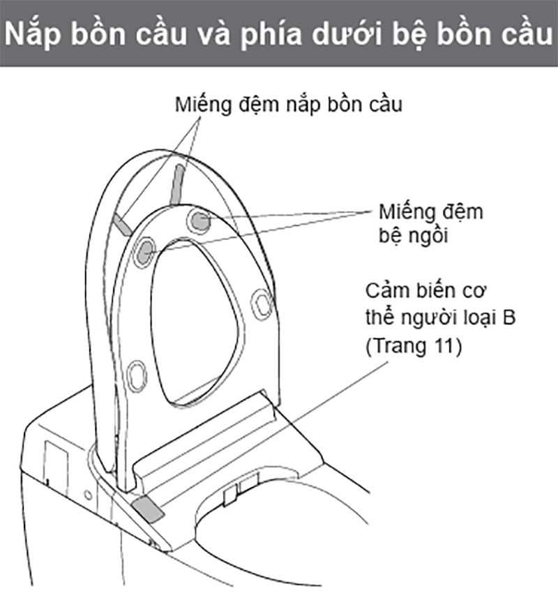 Linh kiện nắp bồn cầu và phía dưới bệ bồn cầu