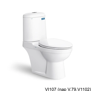 Bồn Cầu 1 Khối VIGLACERA VI107