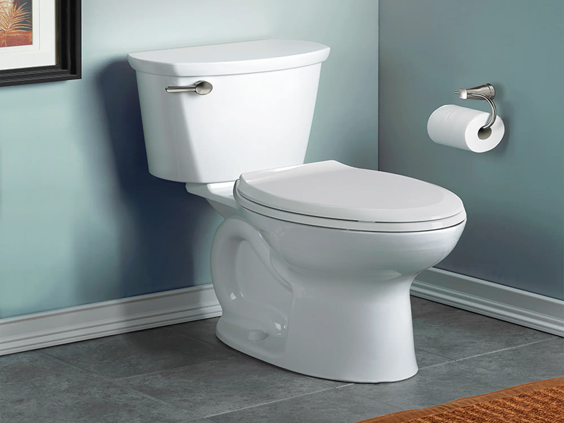 Bồn cầu 2 khối hoạt động dựa trên cơ chế xả nước và tạo dòng lực mạnh