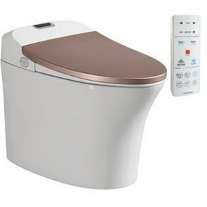 Bồn cầu thông minh VIGLACERA V93GW