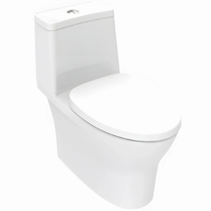Bồn Cầu 1 Khối American Standard 2530_WT