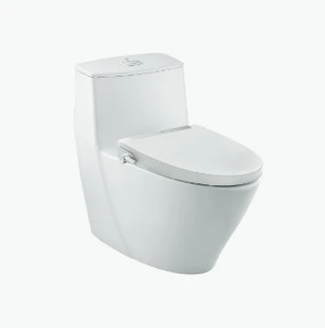 Bồn Cầu 1 Khối INAX AC_919RCW_S32VN