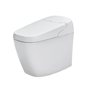 Bồn cầu thông minh INAX AC_G216VN_BW1