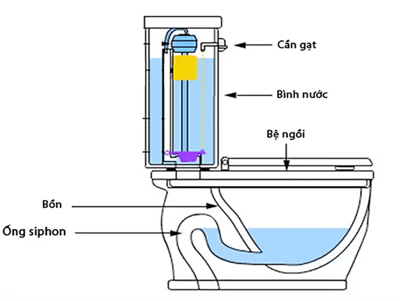 Bồn cầu 2 khối bao gồm các thành phần két nước, thân + bệ ngồi và nắp bồn cầu