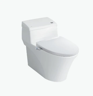 Bồn Cầu 1 Khối INAX AC_1017RCW_S32VN