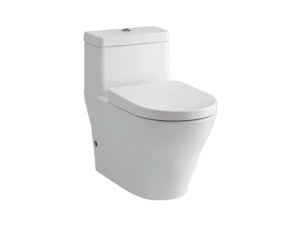Bồn Cầu 1 Khối TOTO CW166RBXW_TC384CVKW có nút xả loại nhấn