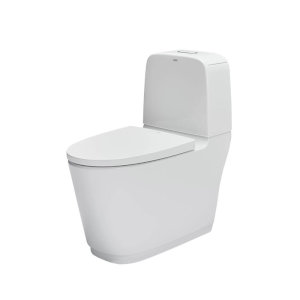 Bồn cầu một khối màu trắng, thiết kế hiện đại và sang trọng.