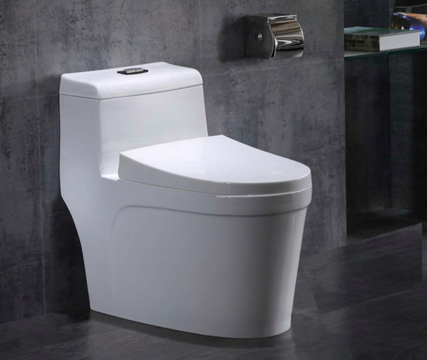 Khi chọn bồn cầu 1 khối, bạn cần lưu ý đến các yếu tố về kích thước và tính năng