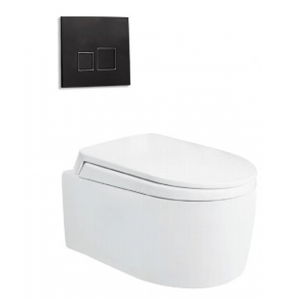 Bồn cầu treo VIGLACERA V55