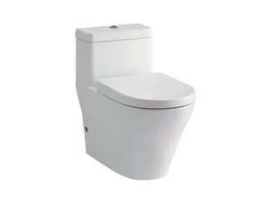 Bồn Cầu 1 Khối TOTO CW166RBXW_TC384CVKW